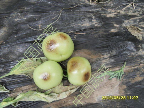 试验后来啊：效果杠杠的