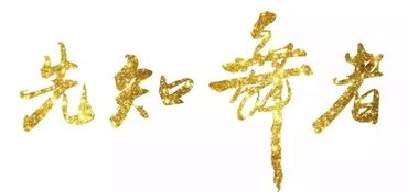 一粒芝麻，蜕变之旅