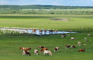 播种黄金时间表