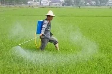 除草剂的分类：多如牛毛