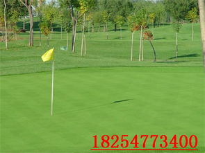 长景园林，专业种植园林苗木