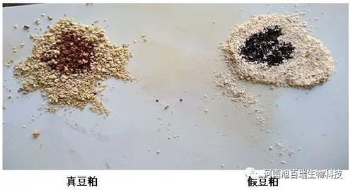 豆粕铜含量是多少？豆粕中主要成分蛋白质、脂肪、纤维的含量分别是多少？