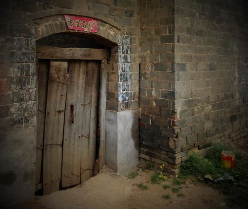 寻根溯源的标记