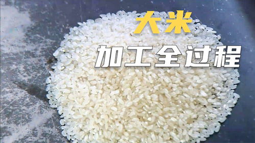 食用菌渣加工成饲料，如何实现环保高效且降低饲料成本？