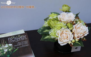 香槟玫瑰：高贵气质的花朵搭配指南