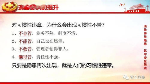 第二篇章：挖掘与包装