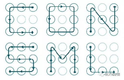 橡树种子泡水48小时临界点揭秘