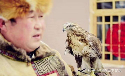 鹰猎，源于古代游牧民族