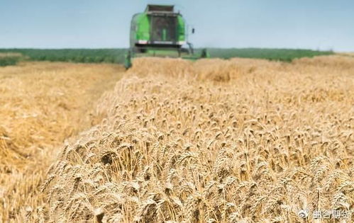 二、 不同农药，影响不同