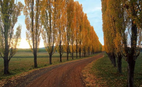 新手必知五不要