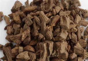 香榧种子，价格大揭秘！