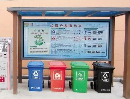 正确处理：保护环境的责任