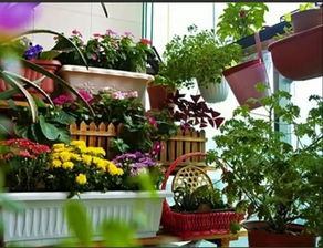 今天向大家推荐几种耐涝植物