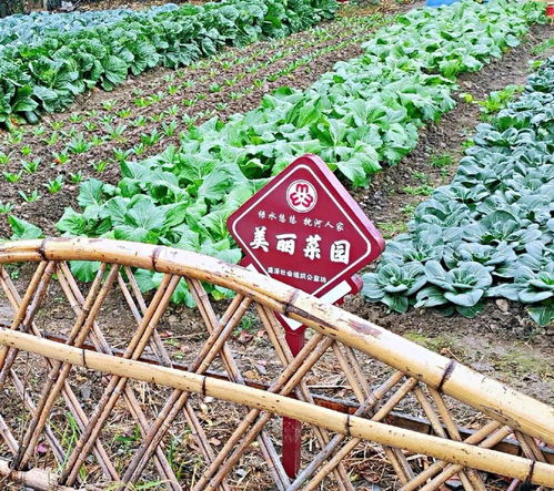 昌吉家庭园艺师培训班， 问答了解一下