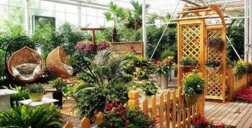 宁夏园艺产业园：巨型南瓜园与稻草文化节