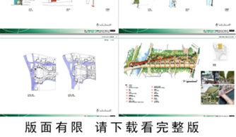 团队协作与沟通