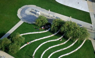 造型花木植物的品种介绍