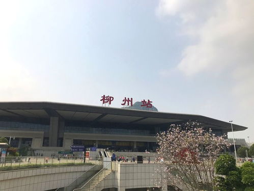 请问在吉林省，特别是吉林市，有哪些大型饲料厂？