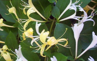 种植前的准备工作