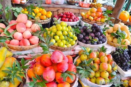 木瓜丰收季，搭建微商平台