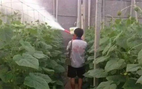 保护生态环境，从我Zuo起