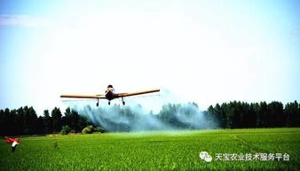 高效、环保、智能化，适应现代化农业养殖需求