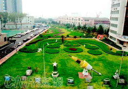 探寻那片四季常青的绿意