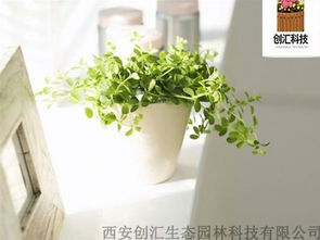 修身养性的旅程