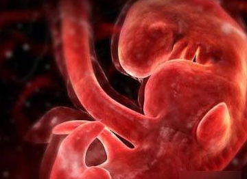 怀孕八个月，多菌灵对胎儿有影响吗？