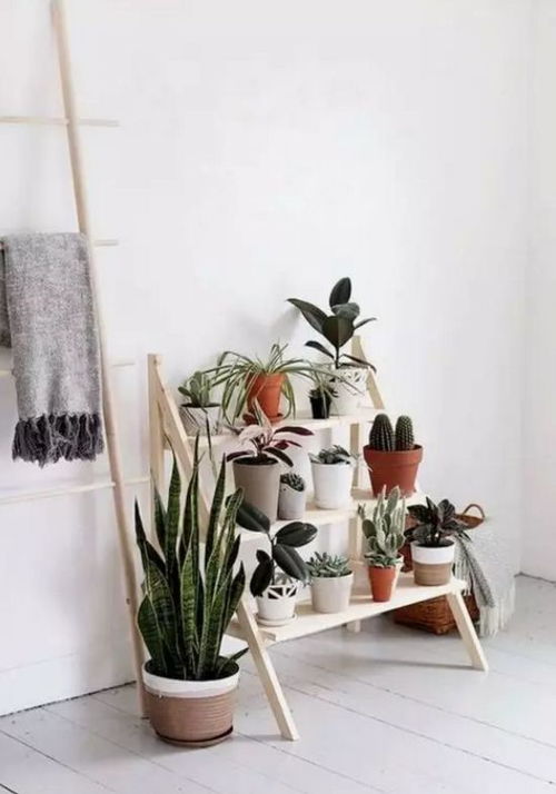 绿植墙艺术绘制技法详解