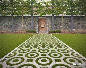 庭院草坪种草选啥草？软乎的，散步舒服