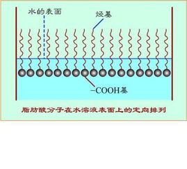 表面活性剂降张力大揭秘