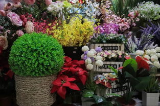 寻找实惠花卉市场