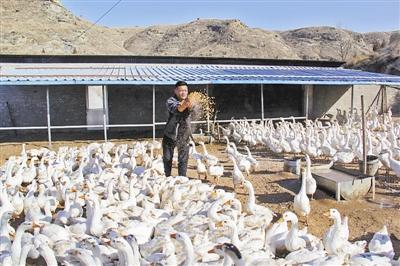 百万投资创办养蛇业，探索生态养殖新领域