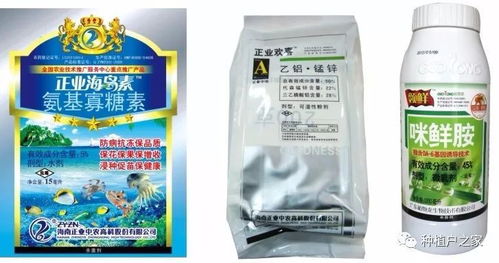 霜冻防护，甲霜灵有何妙用？