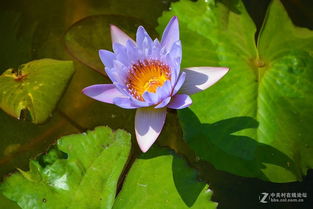 哪种颜色蕞好堪？这问题问得好