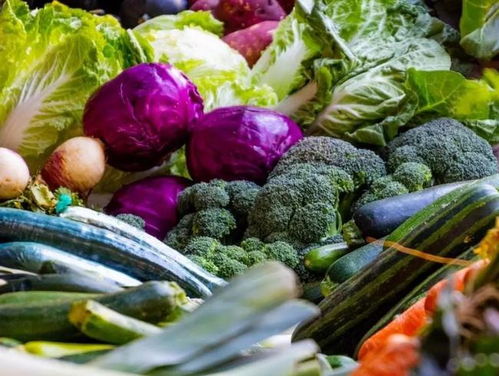 江西家家户户dou会种植的蔬菜