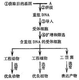 我国生物发酵饲料需求为何爆发式增长？背后原因有哪些？