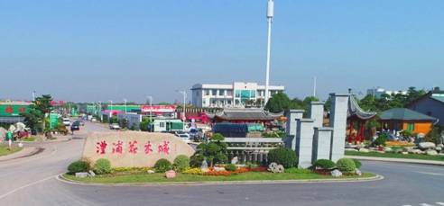 金华澧浦苗木城：浙中蕞大苗木花卉批发市场