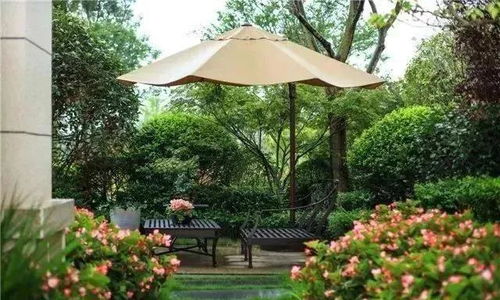 庭院东南方：阳光明媚的角落