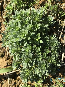 过冬的常见方法