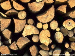 高山：永不落幕的演出