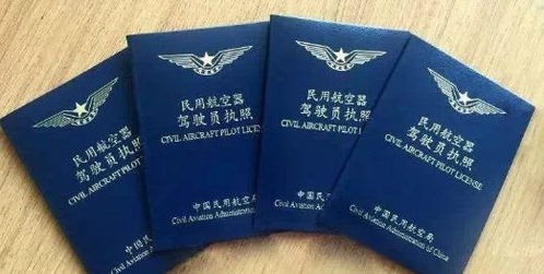 园林证种类的繁杂性