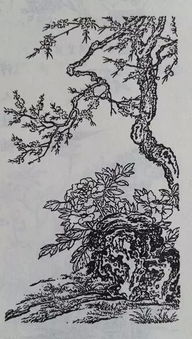 “在古代文化中，哪些植物被用作长寿的象征