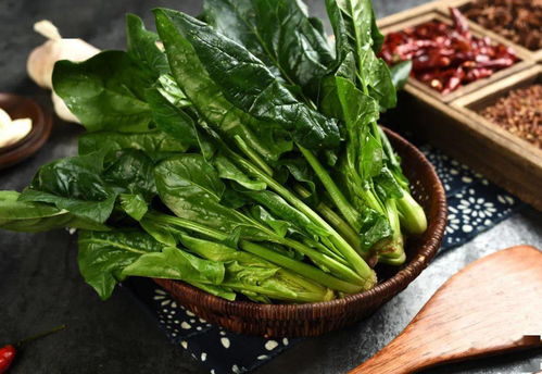 井水与农药的相遇