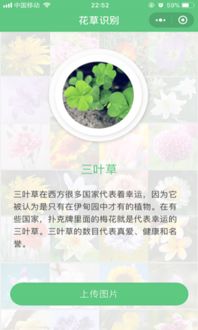 识别植物的学习之旅
