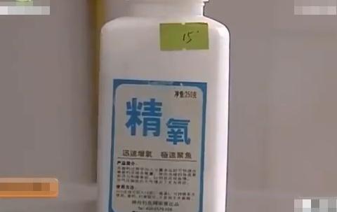 鱼儿们，你们怕不怕？