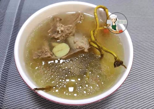孕妇吃乌鸡炖枸杞，营养滋补