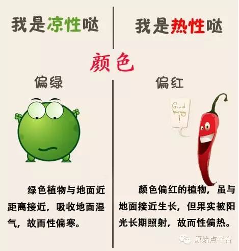 红薯是热性还是凉性，对消化系统有影响吗