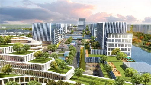麦兰养殖需科学规划、高效管理，以打造高品质产品